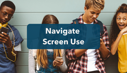 Navidate Screen use